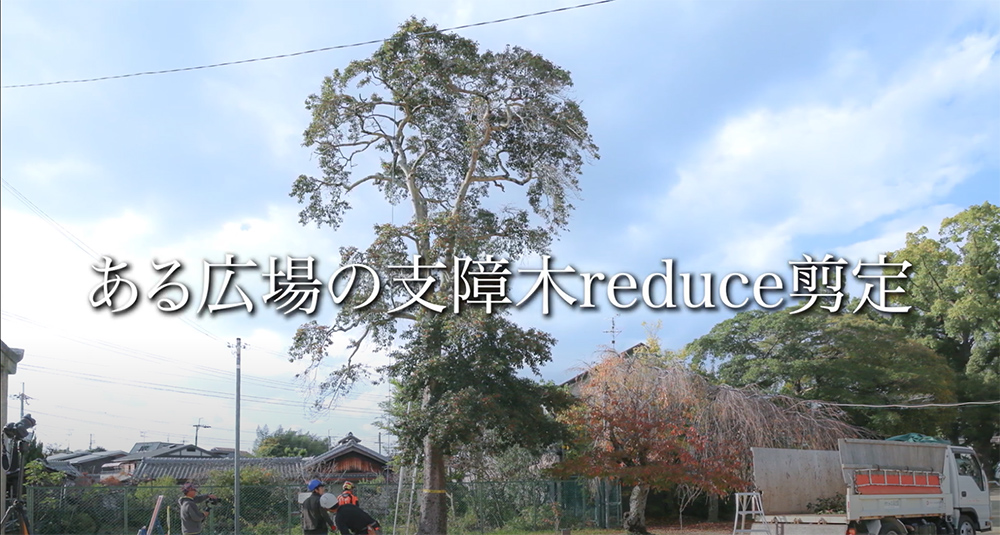 Read more about the article 【動画】TREESURGER　ある広場の支障木reduce剪定